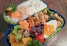 Bento 40 by Steffi