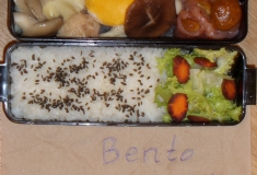 NeNya1337 2014