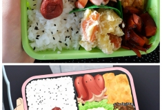 Anime Bento Challenge - Ekolabine