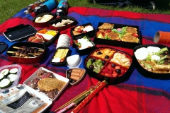 Picknick by Agea