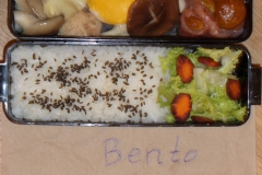 NeNya1337 2014