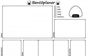 Die Bento Zubereitung und unser Bentoplaner