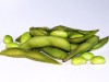 Edamame – japanische Sojabohne