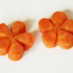 Karottenblume