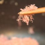 Sakura Denbu2 – eingefärbt