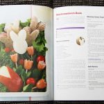 Bento für jeden Tag – Just Bento Cookbook3