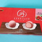 Mochi Mochi Chocolate Erdbeer1