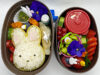 Bento Tutorial: Das Packen einer Oster Bento Box