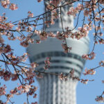 Sumida Fluss – Sky Tree
