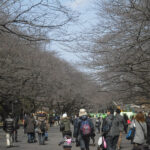 Ueno-Park01