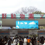 Ueno-Zoo01
